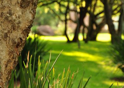 Alpetra-Nature-Reserve-Garden-05