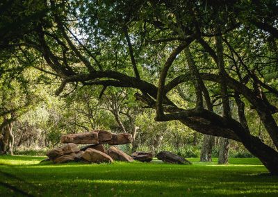 Alpetra-Nature-Reserve-Garden-07